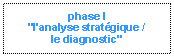 Zone de Texte: phase I
"l'analyse stratgique /
le diagnostic"