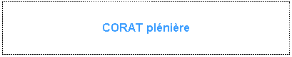Zone de Texte: CORAT pl�ni�re