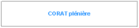 Zone de Texte: CORAT plnire